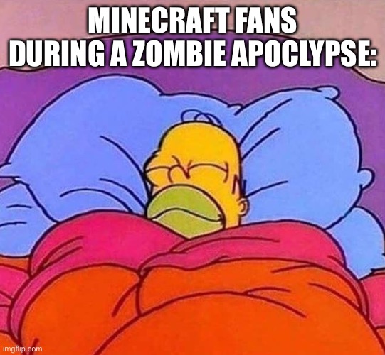 Homer Simpson sleeping peacefully | MINECRAFT FANS DURING A ZOMBIE APOCLYPSE: | image tagged in homer simpson sleeping peacefully | made w/ Imgflip meme maker