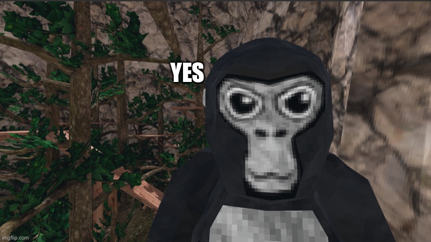 Gorilla tag | YES | image tagged in gorilla tag | made w/ Imgflip meme maker