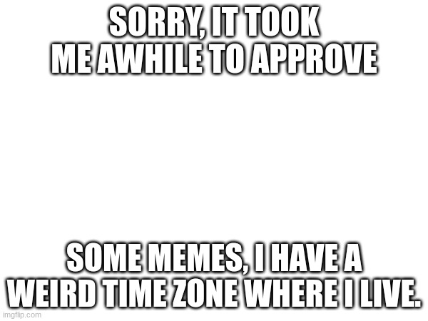SORRY, IT TOOK ME AWHILE TO APPROVE; SOME MEMES, I HAVE A WEIRD TIME ZONE WHERE I LIVE. | image tagged in idk | made w/ Imgflip meme maker