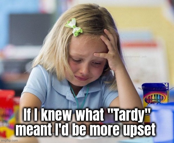 Crying Girl drawing | If I knew what "Tardy" meant I'd be more upset | image tagged in crying girl drawing | made w/ Imgflip meme maker