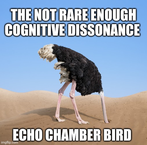 Way Too many | THE NOT RARE ENOUGH COGNITIVE DISSONANCE; ECHO CHAMBER BIRD | image tagged in ostrich head in sand,memes,funny memes | made w/ Imgflip meme maker