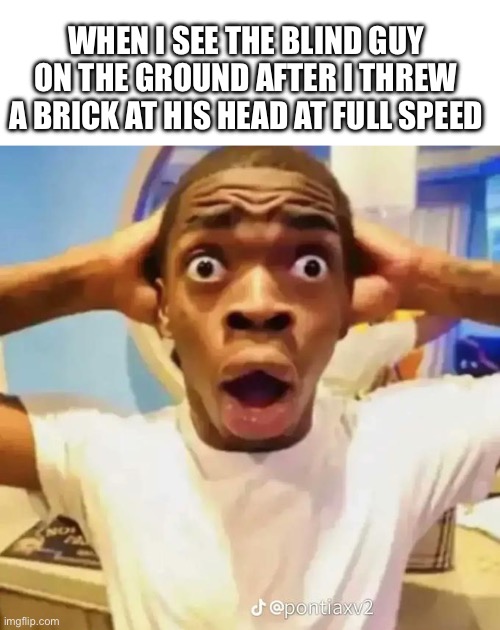 Idk I was bored | WHEN I SEE THE BLIND GUY ON THE GROUND AFTER I THREW A BRICK AT HIS HEAD AT FULL SPEED | image tagged in shocked black guy,brick | made w/ Imgflip meme maker