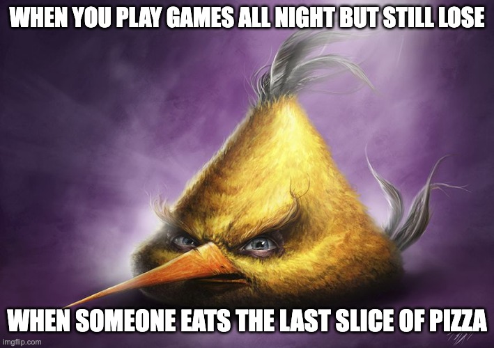 Realistic yellow angry bird | WHEN YOU PLAY GAMES ALL NIGHT BUT STILL LOSE; WHEN SOMEONE EATS THE LAST SLICE OF PIZZA | image tagged in realistic yellow angry bird | made w/ Imgflip meme maker
