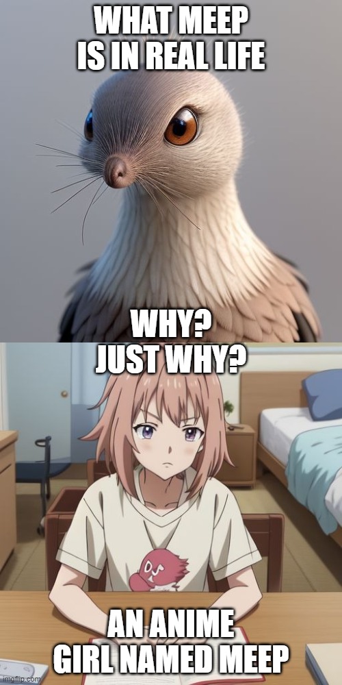 Why so different? Also: Mouse Chicken!!! | WHAT MEEP IS IN REAL LIFE; WHY? JUST WHY? AN ANIME GIRL NAMED MEEP | image tagged in anime versus realistic | made w/ Imgflip meme maker