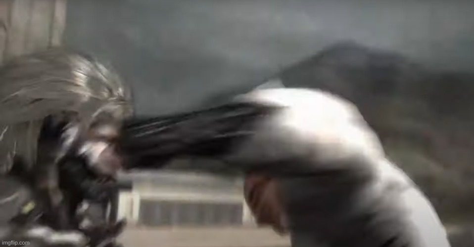 Raiden getting punched | image tagged in raiden getting punched | made w/ Imgflip meme maker