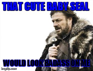Brace Yourselves X is Coming Meme | THAT CUTE BABY SEAL  WOULD LOOK BADASS ON ME | image tagged in memes,brace yourselves x is coming | made w/ Imgflip meme maker