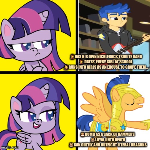 Flash vs Flash | ?‍?HAS HIS OWN NICKLEBACK TRIBUTE BAND
?‍?'DATES' EVERY GIRL AT SCHOOL 
?‍?RUNS INTO GIRLS AS AN EXCUSE TO GROPE THEM... ?DUMB AS A SACK OF  | image tagged in twilight sparkle,drake meme,flash sentry | made w/ Imgflip meme maker