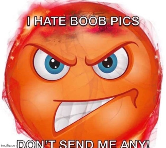 image tagged in i hate boob pics don t send me any | made w/ Imgflip meme maker