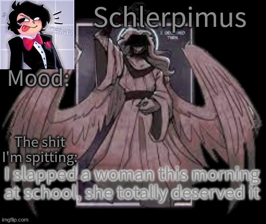 Schlerpimus Announcement Temp | I slapped a woman this morning at school, she totally deserved it | image tagged in schlerpimus announcement temp | made w/ Imgflip meme maker