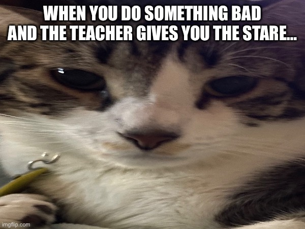 Teachers | WHEN YOU DO SOMETHING BAD AND THE TEACHER GIVES YOU THE STARE… | image tagged in teachers | made w/ Imgflip meme maker