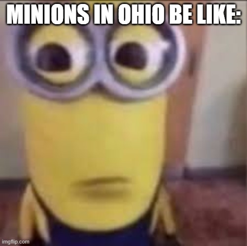 Ohio minion | MINIONS IN OHIO BE LIKE: | image tagged in goofy ahh minion | made w/ Imgflip meme maker