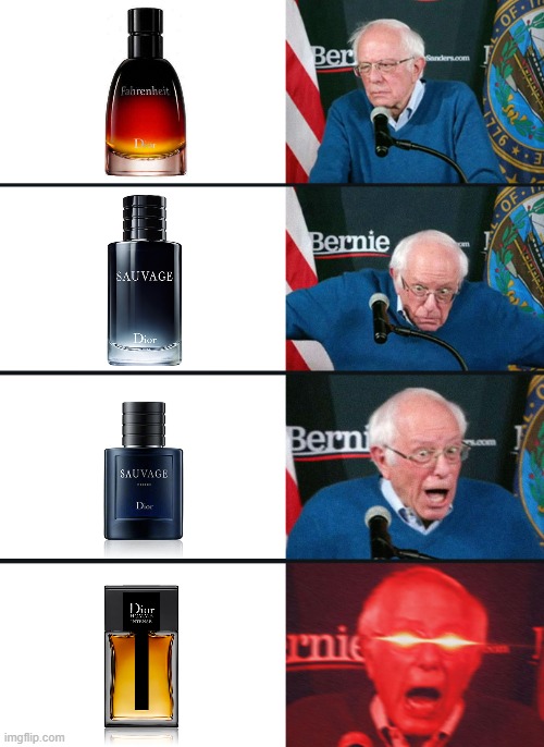 dior | image tagged in bernie sanders reaction nuked | made w/ Imgflip meme maker