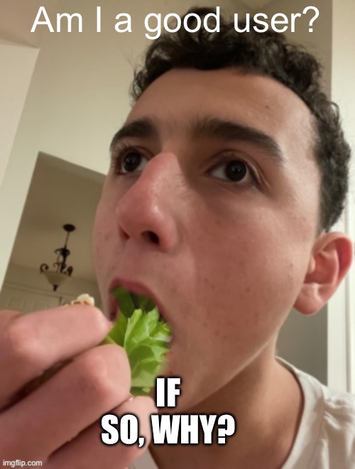 ObiWON lettuce | Am I a good user? IF SO, WHY? | image tagged in obiwon lettuce | made w/ Imgflip meme maker