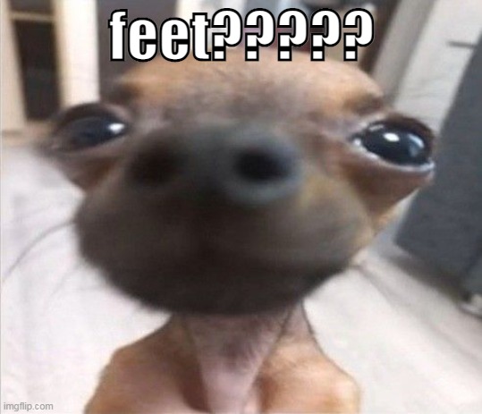 feet????? | made w/ Imgflip meme maker