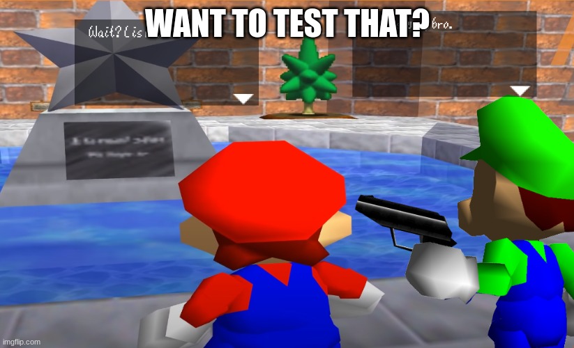 Luigi with gun | WANT TO TEST THAT? | image tagged in luigi with gun | made w/ Imgflip meme maker