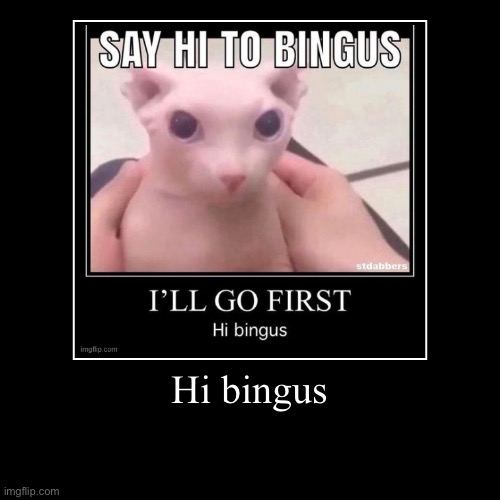 Hi bingus | | image tagged in funny,demotivationals | made w/ Imgflip demotivational maker