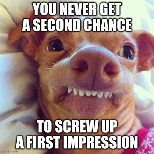 lol | YOU NEVER GET A SECOND CHANCE; TO SCREW UP A FIRST IMPRESSION | image tagged in phteven | made w/ Imgflip meme maker