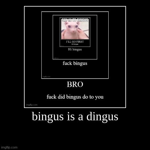 bingus is a dingus | | image tagged in funny,demotivationals | made w/ Imgflip demotivational maker