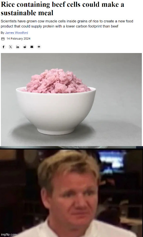 Gordon Ramsey is not happy | image tagged in wtf gordon ramsey,food,science,meat rice | made w/ Imgflip meme maker