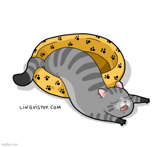 A Cat's Way Of Thinking | image tagged in memes,comics/cartoons,cats,bed,half,out | made w/ Imgflip meme maker