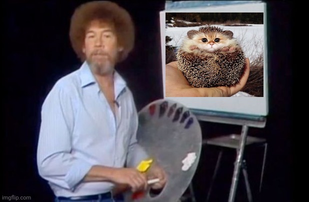 Cat Hedgehog photoshop | image tagged in bob ross photoshop-it-yourself,cat,hedgehog,cats,memes,photoshop | made w/ Imgflip meme maker