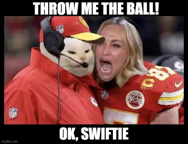 woman yelling at cat | THROW ME THE BALL! OK, SWIFTIE | image tagged in woman yelling at cat,travis kelce screaming,travis kelce,nfl,taylor swift,taylor swiftie | made w/ Imgflip meme maker