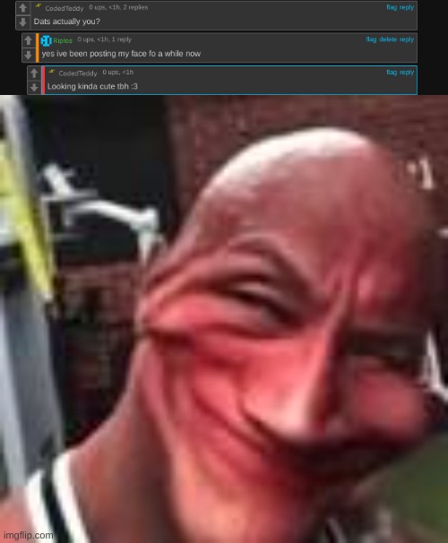 image tagged in rock smile | made w/ Imgflip meme maker