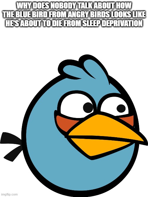 Am I right | WHY DOES NOBODY TALK ABOUT HOW THE BLUE BIRD FROM ANGRY BIRDS LOOKS LIKE HE'S ABOUT TO DIE FROM SLEEP DEPRIVATION | image tagged in angry birds,blue bird | made w/ Imgflip meme maker