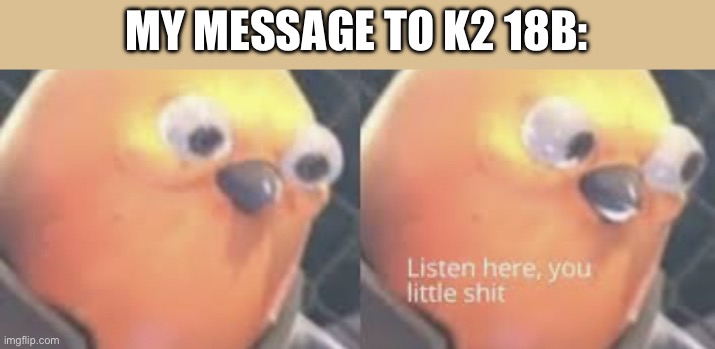 Listen here you little shit bird | MY MESSAGE TO K2 18B: | image tagged in listen here you little shit bird | made w/ Imgflip meme maker