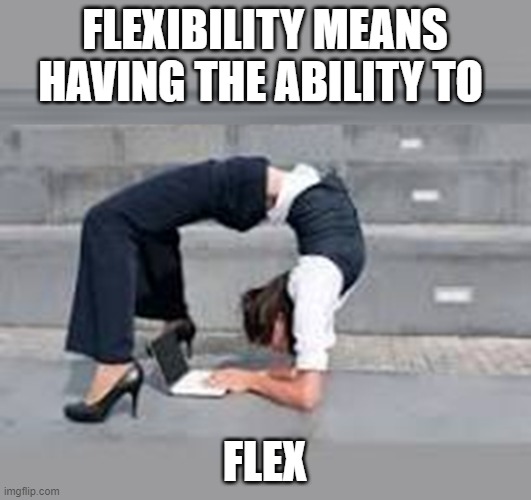 Flex | FLEXIBILITY MEANS HAVING THE ABILITY TO; FLEX | image tagged in flex | made w/ Imgflip meme maker