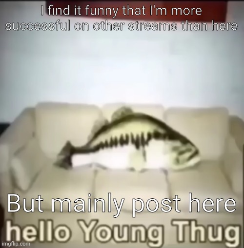 Hello Young Thug | I find it funny that I'm more successful on other streams than here; But mainly post here | image tagged in hello young thug | made w/ Imgflip meme maker