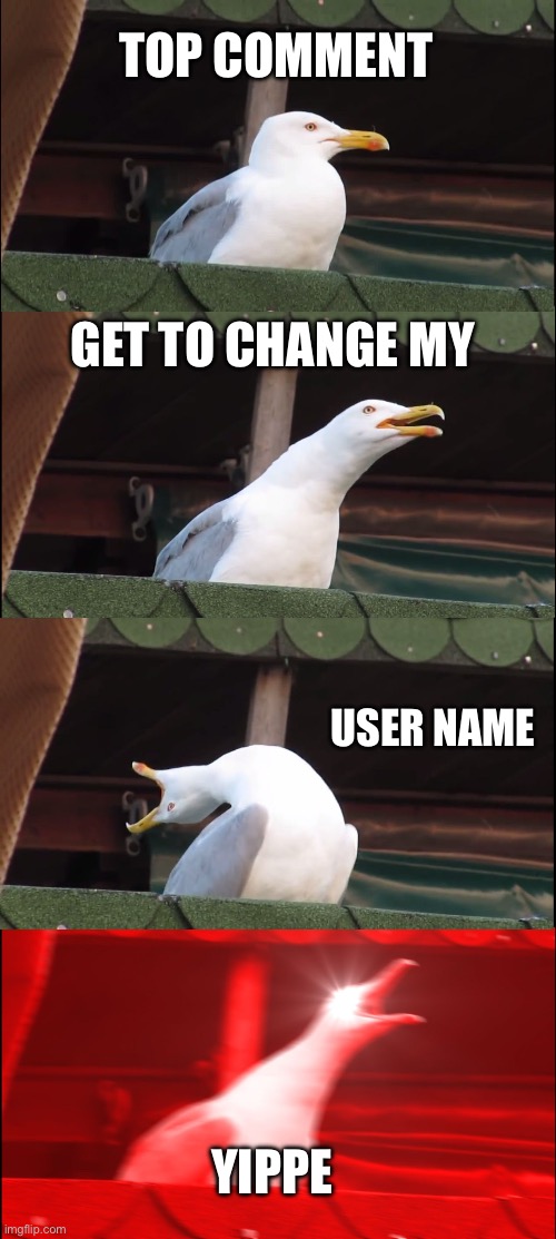 Be something good pls | TOP COMMENT; GET TO CHANGE MY; USER NAME; YIPPE | image tagged in memes,inhaling seagull | made w/ Imgflip meme maker