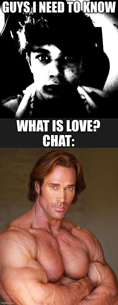 random shit i leiteraly idnotne t ueh | GUYS I NEED TO KNOW; WHAT IS LOVE?

CHAT: | image tagged in scary riplos | made w/ Imgflip meme maker