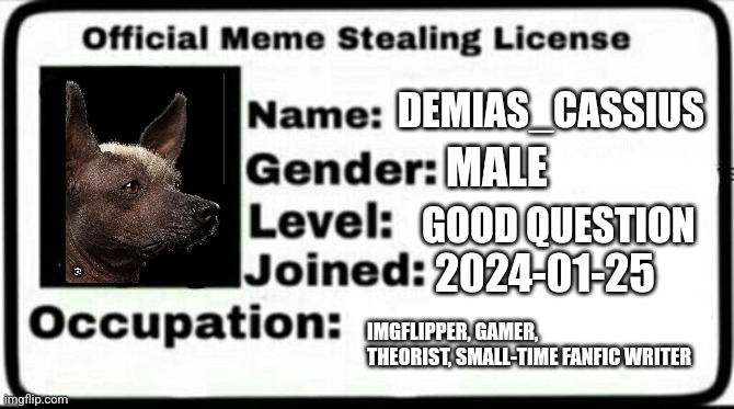 This is my meme stealing license, for reference. Also that's a hairless dog | DEMIAS_CASSIUS; MALE; GOOD QUESTION; 2024-01-25; IMGFLIPPER, GAMER, THEORIST, SMALL-TIME FANFIC WRITER | image tagged in meme stealing license | made w/ Imgflip meme maker