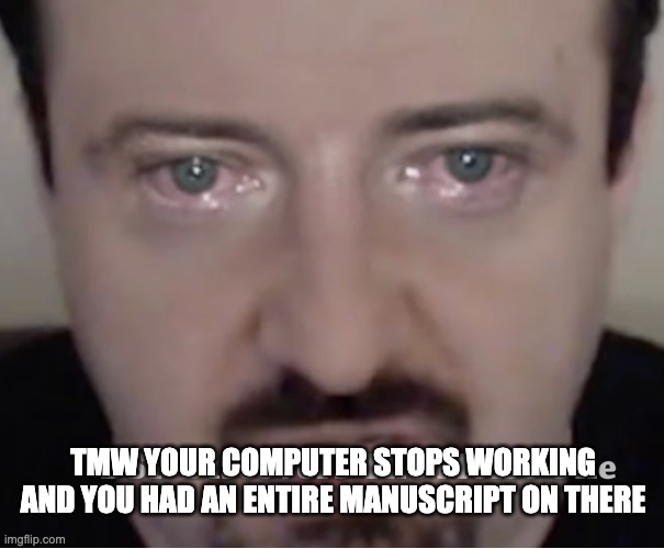 TMW YOUR COMPUTER STOPS WORKING AND YOU HAD AN ENTIRE MANUSCRIPT ON THERE | image tagged in writer,manuscript,computer,draft,author,writing | made w/ Imgflip meme maker