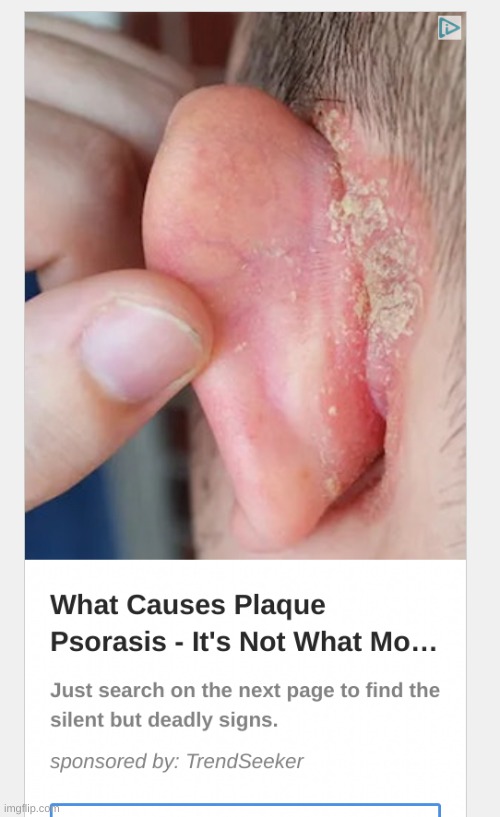 I think I'm going to throw up what the fuck | made w/ Imgflip meme maker