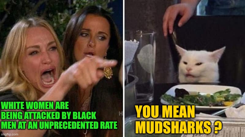 Girls vs Cat | WHITE WOMEN ARE BEING ATTACKED BY BLACK MEN AT AN UNPRECEDENTED RATE YOU MEAN MUDSHARKS ? | image tagged in girls vs cat | made w/ Imgflip meme maker
