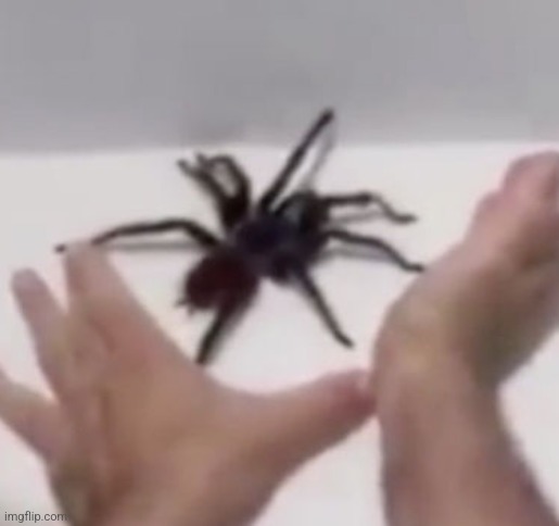 Imma get ya | made w/ Imgflip meme maker