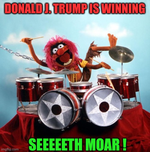 Aaaaaaaaagggh ! Let's Rok & Roll | DONALD J. TRUMP IS WINNING; SEEEEETH MOAR ! | image tagged in animal,memes,funny memes | made w/ Imgflip meme maker