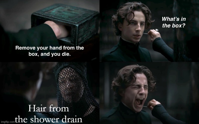 I would rather die. | Hair from the shower drain | image tagged in dune what's in the box | made w/ Imgflip meme maker