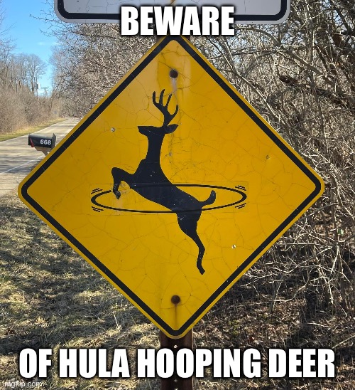 Nailed it | BEWARE; OF HULA HOOPING DEER | image tagged in nailed it,deer,hula hoop | made w/ Imgflip meme maker