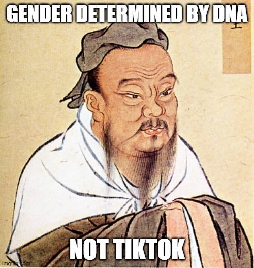 way too many kids getting affirmation for being "weird" on TikTok and making a mess of their lives, some irreparably. | GENDER DETERMINED BY DNA; NOT TIKTOK | image tagged in confucius says,tiktok sucks,gender confusion | made w/ Imgflip meme maker