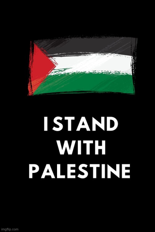 I stand with Palestine | image tagged in i stand with palestine | made w/ Imgflip meme maker