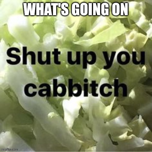 Shut up you cabbitch | WHAT'S GOING ON | image tagged in shut up you cabbitch | made w/ Imgflip meme maker