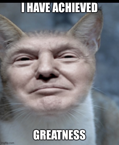 Donald trump cat | I HAVE ACHIEVED; GREATNESS | image tagged in donald trump cat | made w/ Imgflip meme maker