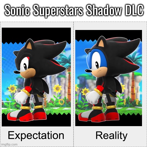 We were close… | Sonic Superstars Shadow DLC | image tagged in expectation vs reality,sonic superstars,shadow the hedgehog | made w/ Imgflip meme maker