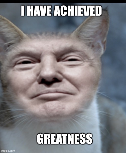 Donald trump cat | I HAVE ACHIEVED; GREATNESS | image tagged in donald trump cat | made w/ Imgflip meme maker