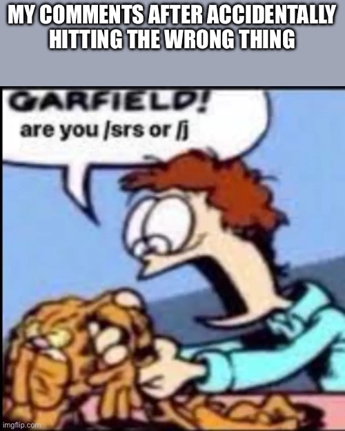 Garfield are you /srs or /j | MY COMMENTS AFTER ACCIDENTALLY HITTING THE WRONG THING | image tagged in garfield are you /srs or /j | made w/ Imgflip meme maker