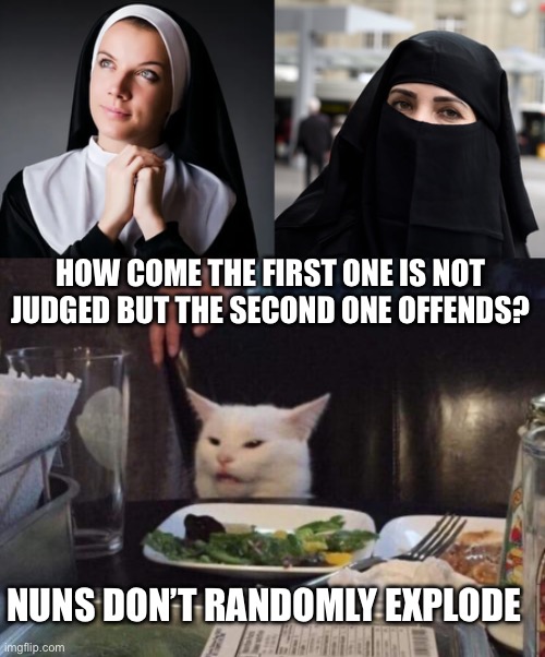 HOW COME THE FIRST ONE IS NOT JUDGED BUT THE SECOND ONE OFFENDS? NUNS DON’T RANDOMLY EXPLODE | image tagged in salad cat | made w/ Imgflip meme maker