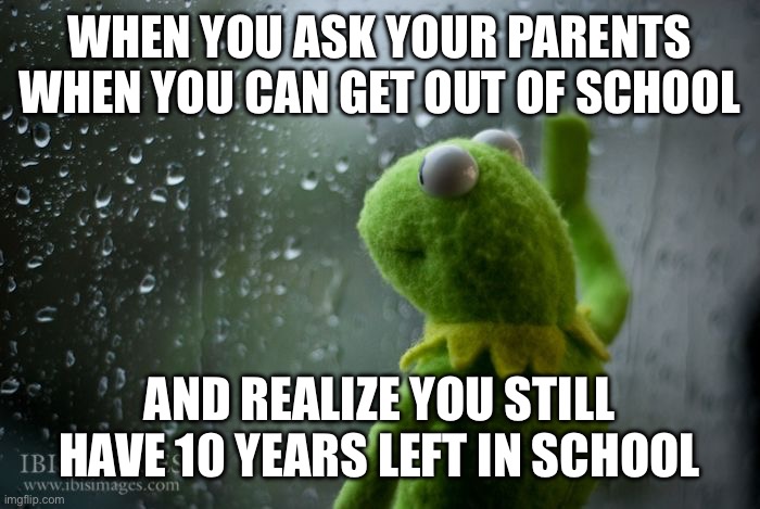 kermit window | WHEN YOU ASK YOUR PARENTS WHEN YOU CAN GET OUT OF SCHOOL; AND REALIZE YOU STILL HAVE 10 YEARS LEFT IN SCHOOL | image tagged in kermit window | made w/ Imgflip meme maker